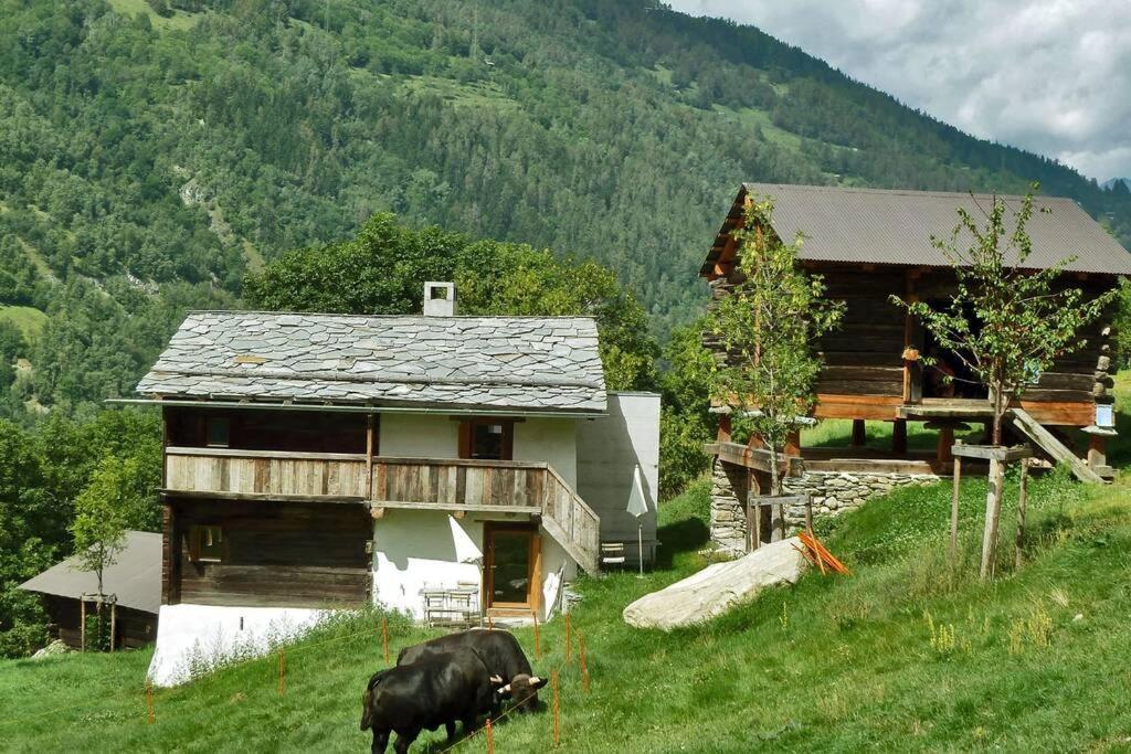 Appartement "Le Ver Luisant" A Saint-Martin, Val D'Herens, Valais エクステリア 写真