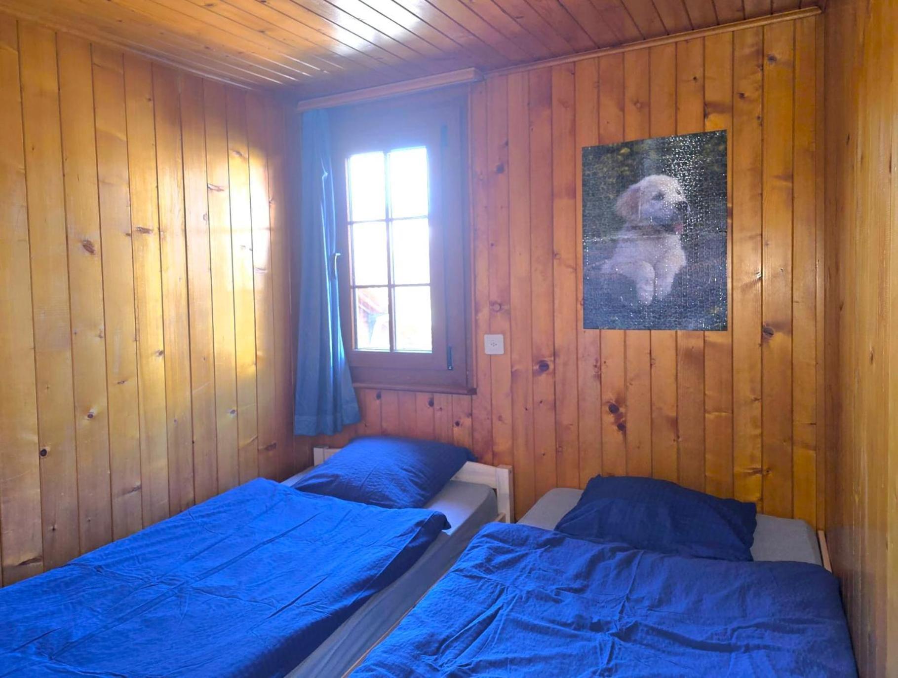 Appartement "Le Ver Luisant" A Saint-Martin, Val D'Herens, Valais エクステリア 写真